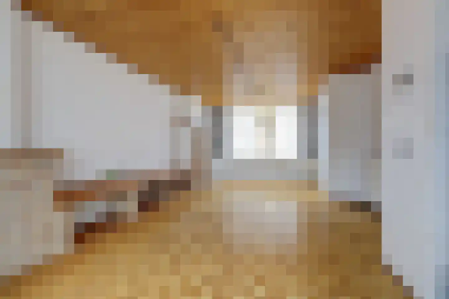 Noordweg 24 Sint Philipsland thumbnail 14
