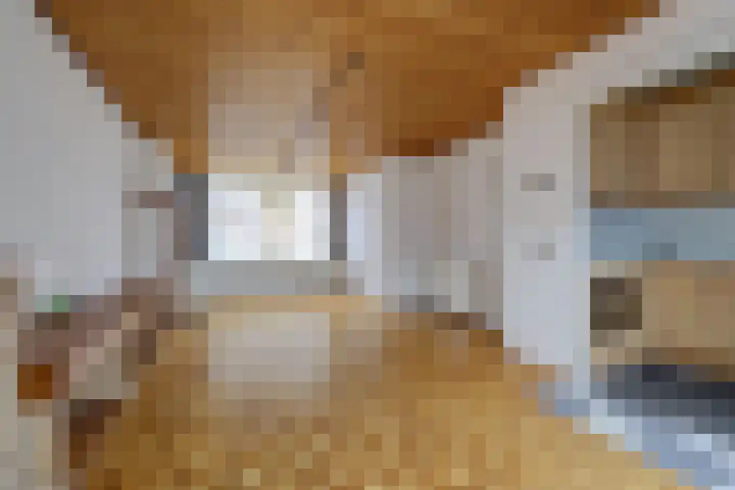 Noordweg 24 Sint Philipsland thumbnail 16