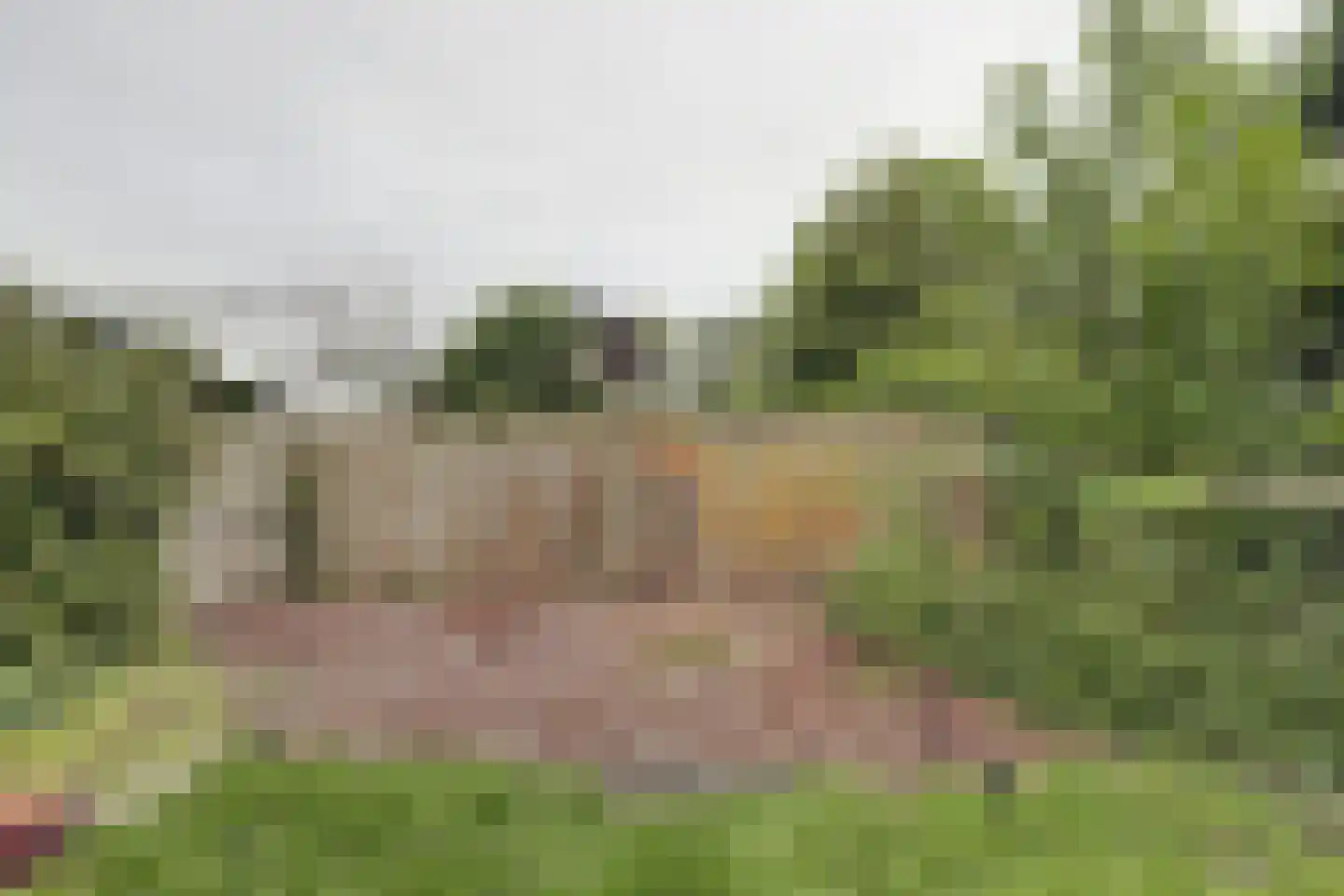 Noordweg 24 Sint Philipsland thumbnail 29