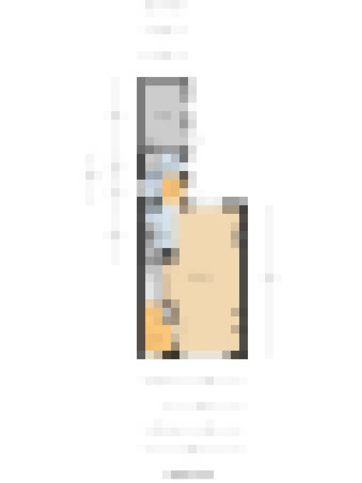 Noordweg 24 Sint Philipsland thumbnail 33