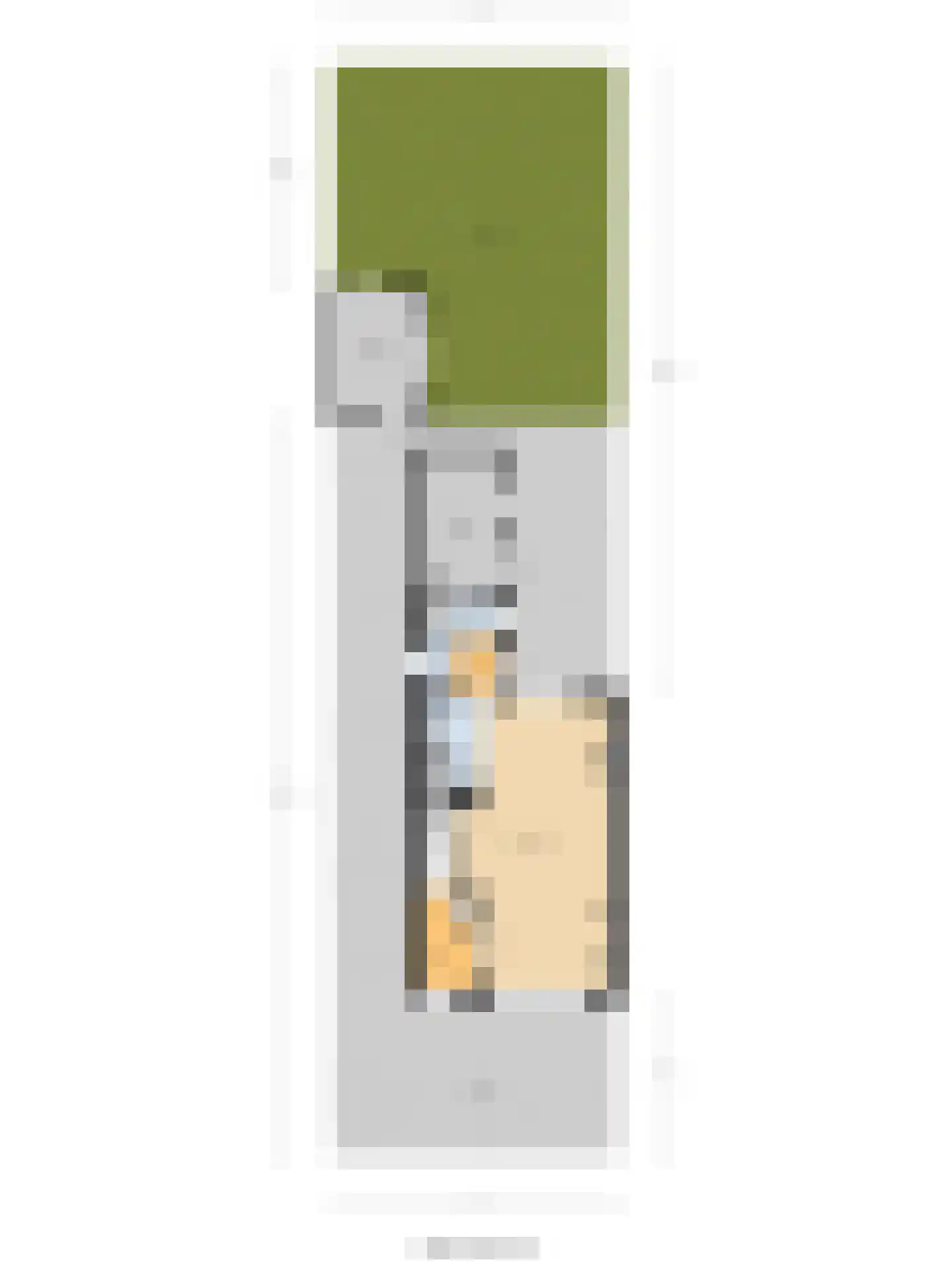 Noordweg 24 Sint Philipsland thumbnail 34