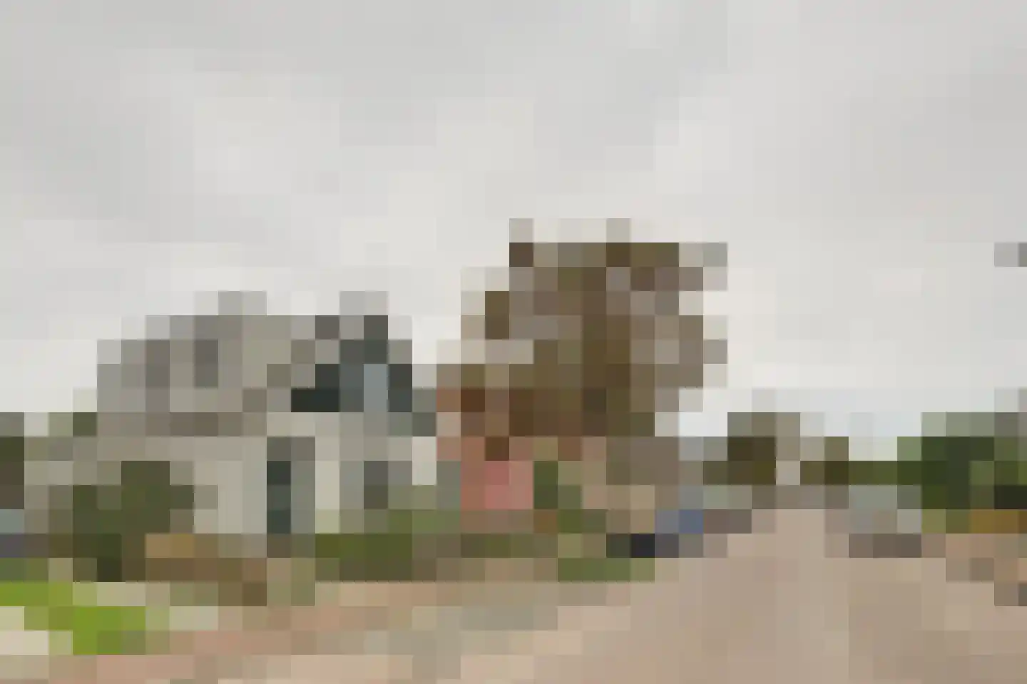 Noordweg 24 Sint Philipsland thumbnail 6