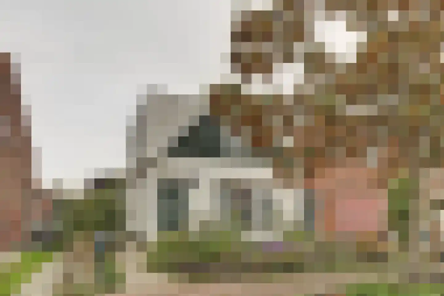 Noordweg 24 Sint Philipsland thumbnail 7