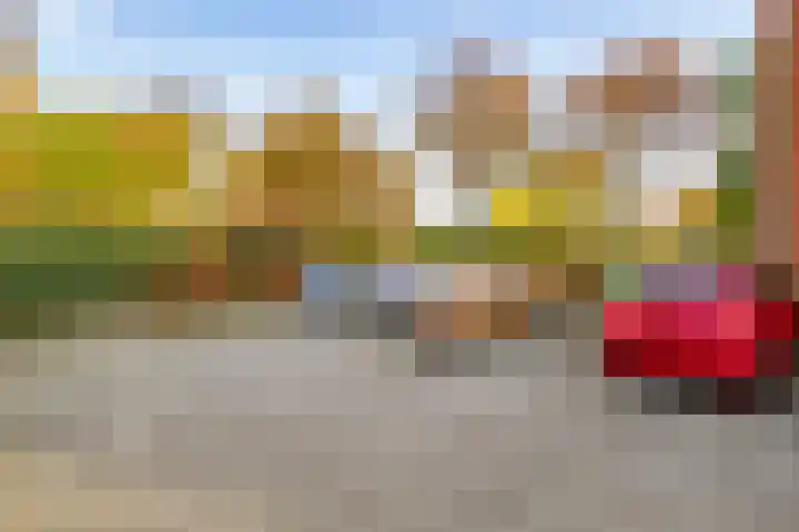 Noordweg 28 Zeist thumbnail 34