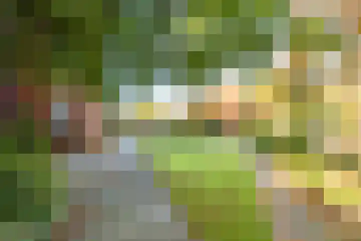 Noordweg 28 Zeist thumbnail 35