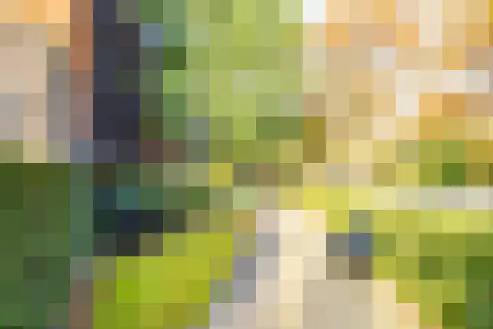 Noordweg 28 Zeist thumbnail 36