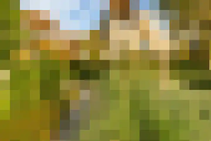Noordweg 28 Zeist thumbnail 37