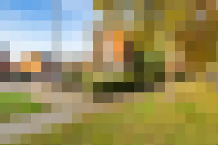 Noordweg 28 Zeist thumbnail 42