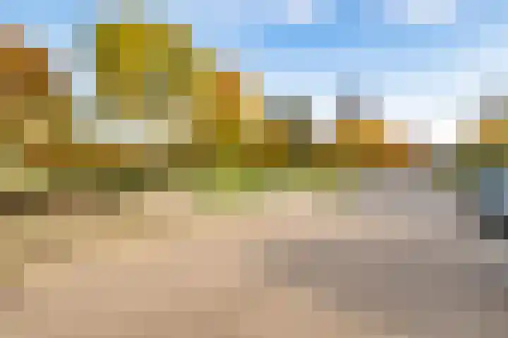 Noordweg 28 Zeist thumbnail 43