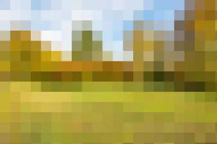 Noordweg 28 Zeist thumbnail 44