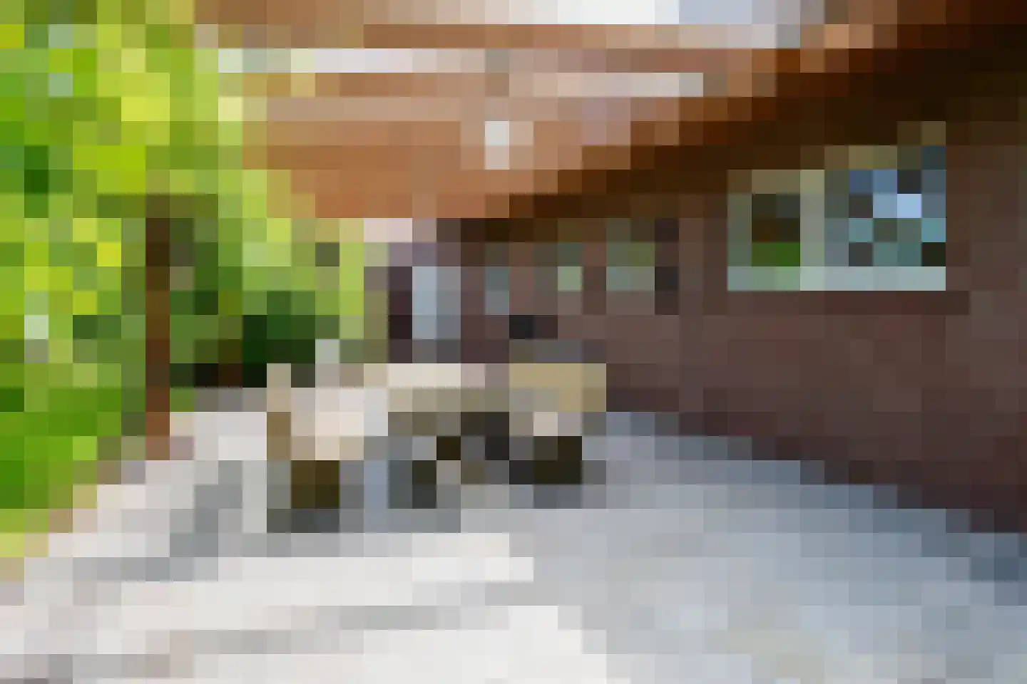 Noordweg 29 Lattrop-Breklenkamp thumbnail 42