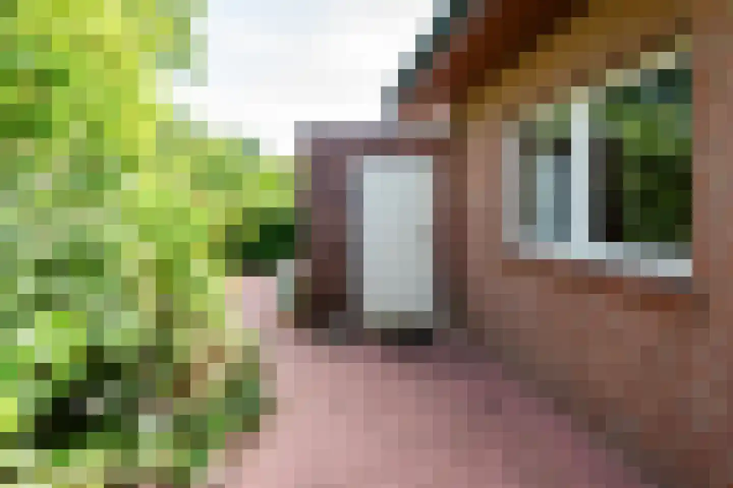Noordweg 29 Lattrop-Breklenkamp thumbnail 43