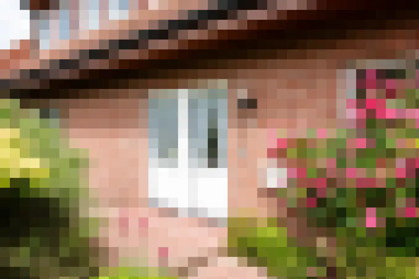 Noordweg 29 Lattrop-Breklenkamp thumbnail 5