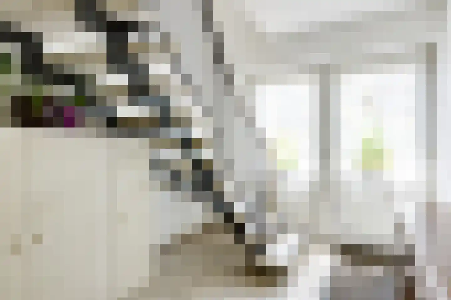 Noordweg 29 Lattrop-Breklenkamp thumbnail 6