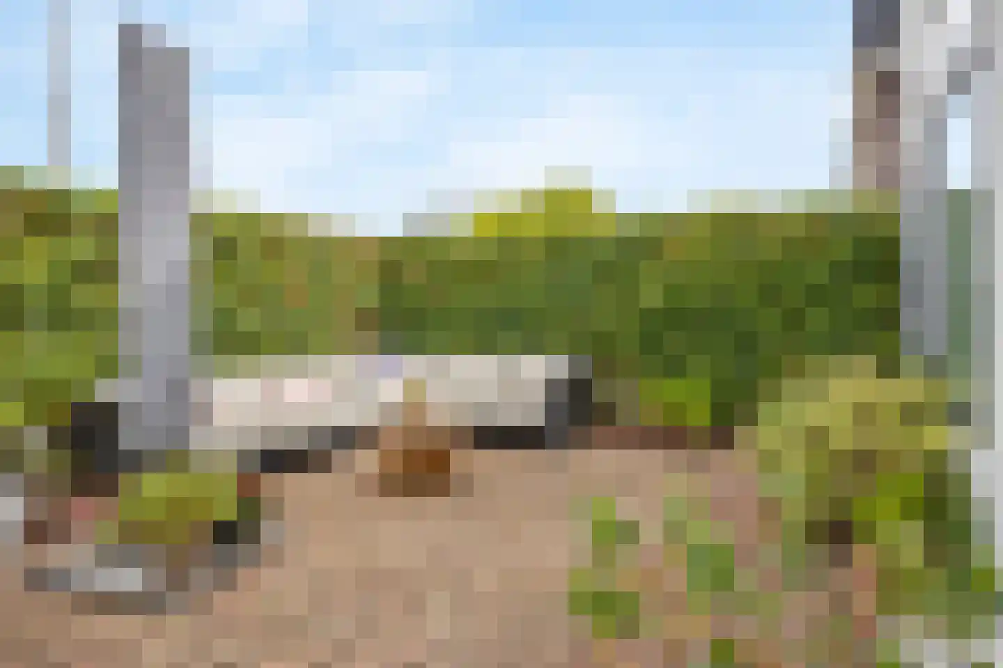 Noordweg 29 Wateringen thumbnail 26