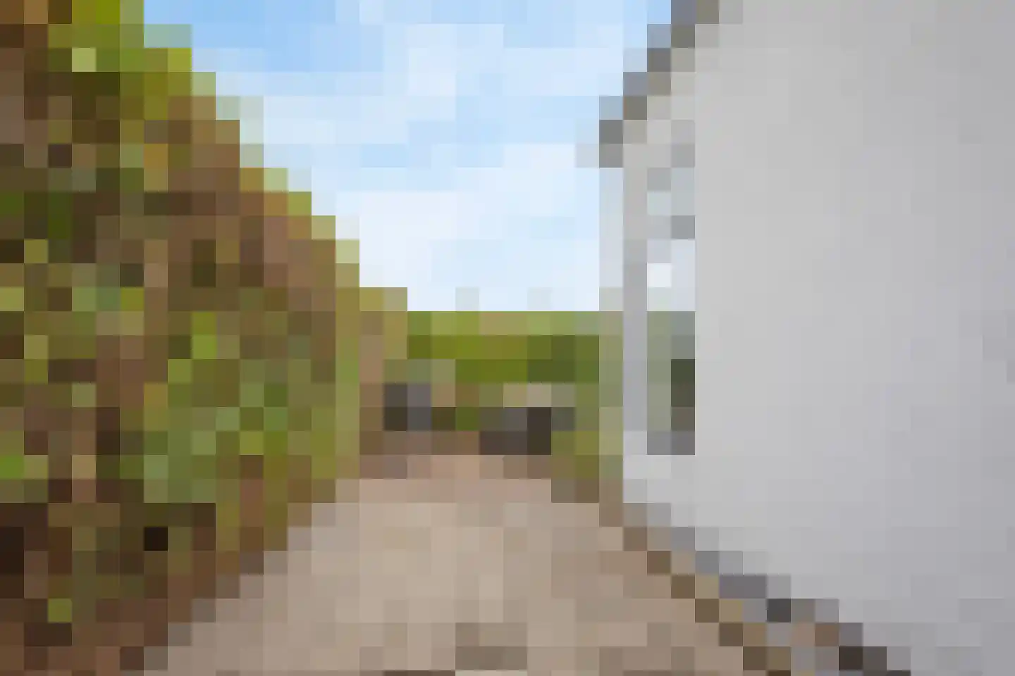 Noordweg 29 Wateringen thumbnail 38