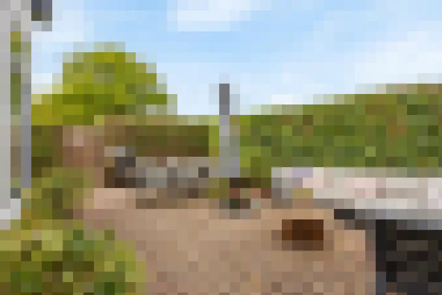Noordweg 29 Wateringen thumbnail 4