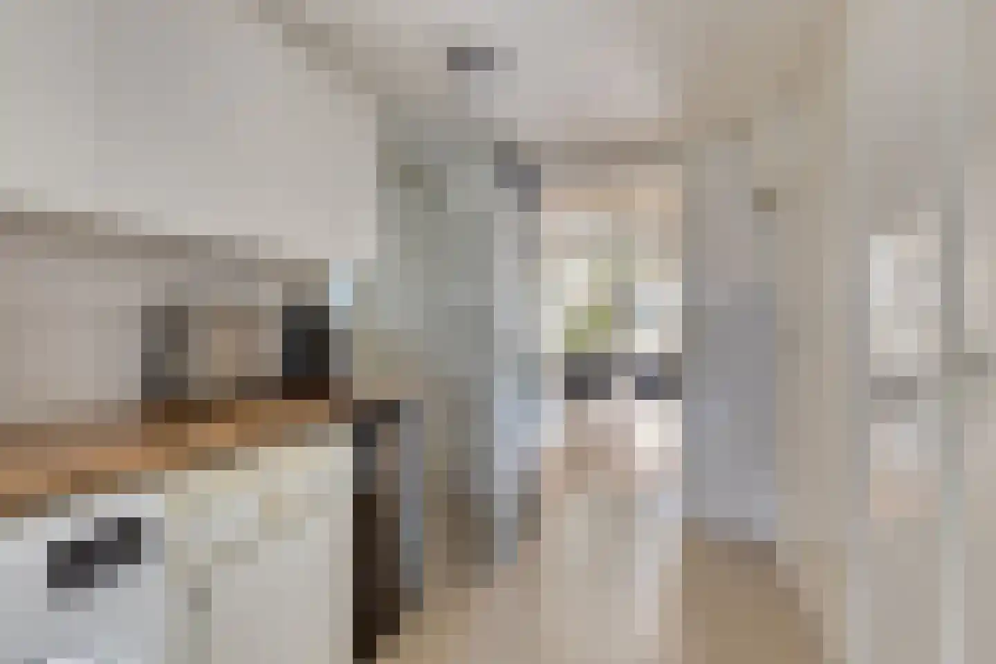 Noordweg 30 Serooskerke thumbnail 12