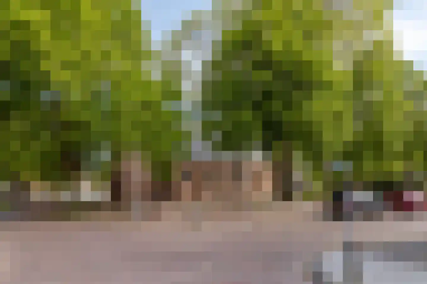 Noordweg 30 Serooskerke thumbnail 35