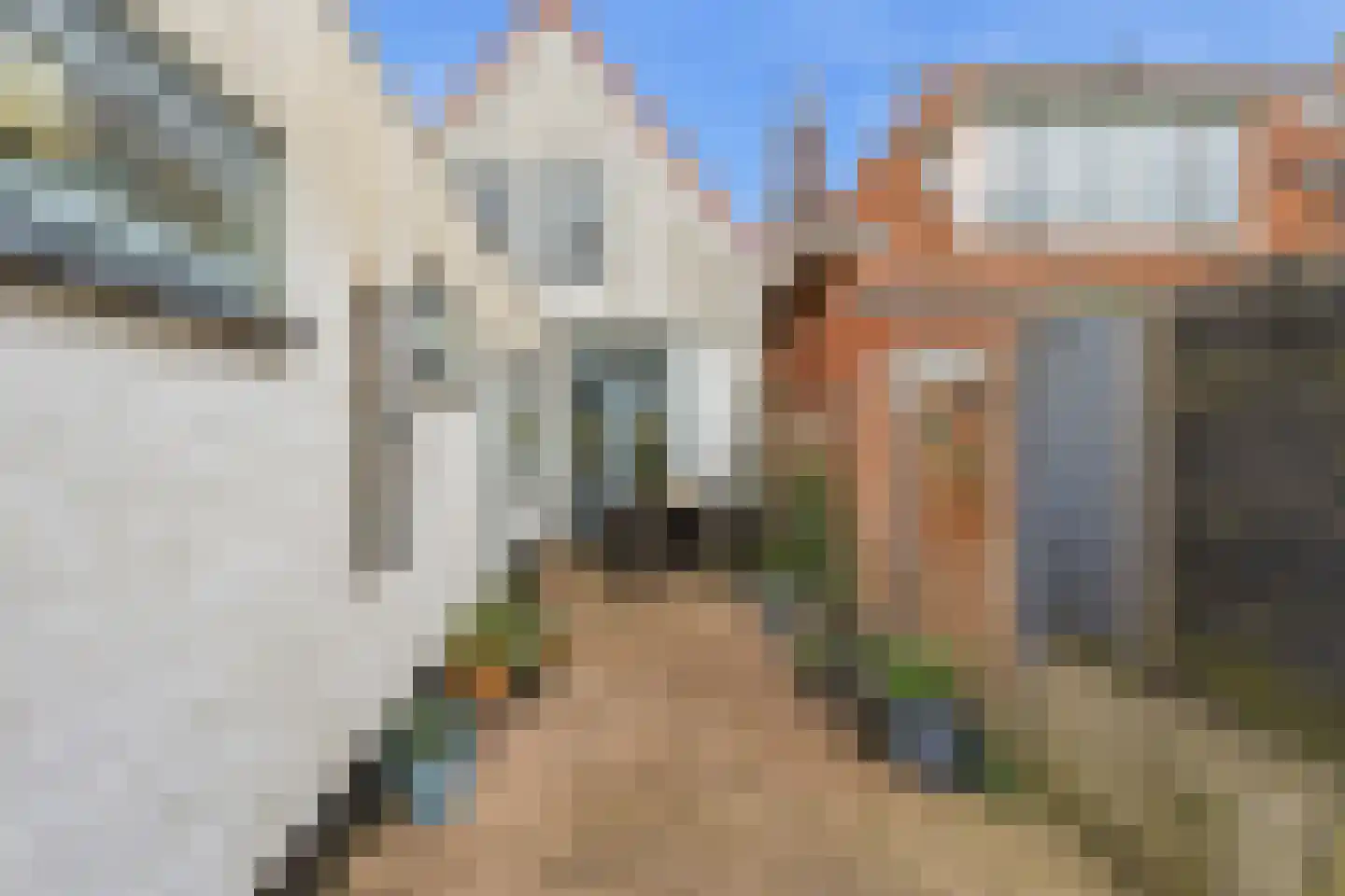 Noordweg 301 Middelburg thumbnail 21