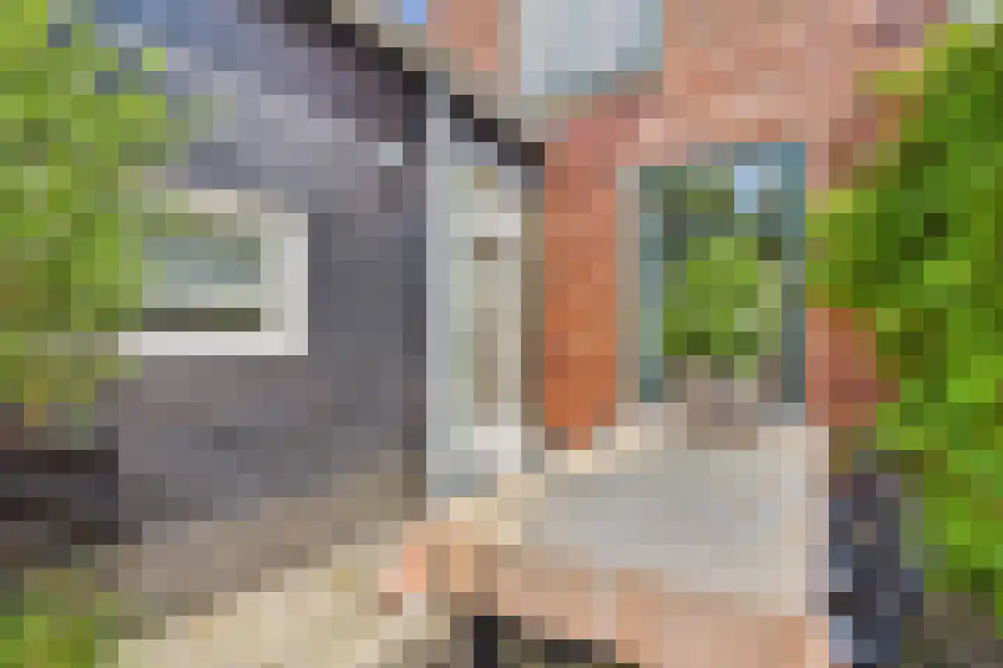 Noordweg 303 Middelburg thumbnail 35
