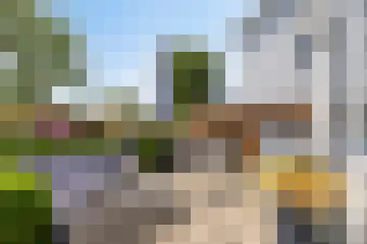 Noordweg 35 Oostkapelle thumbnail 42