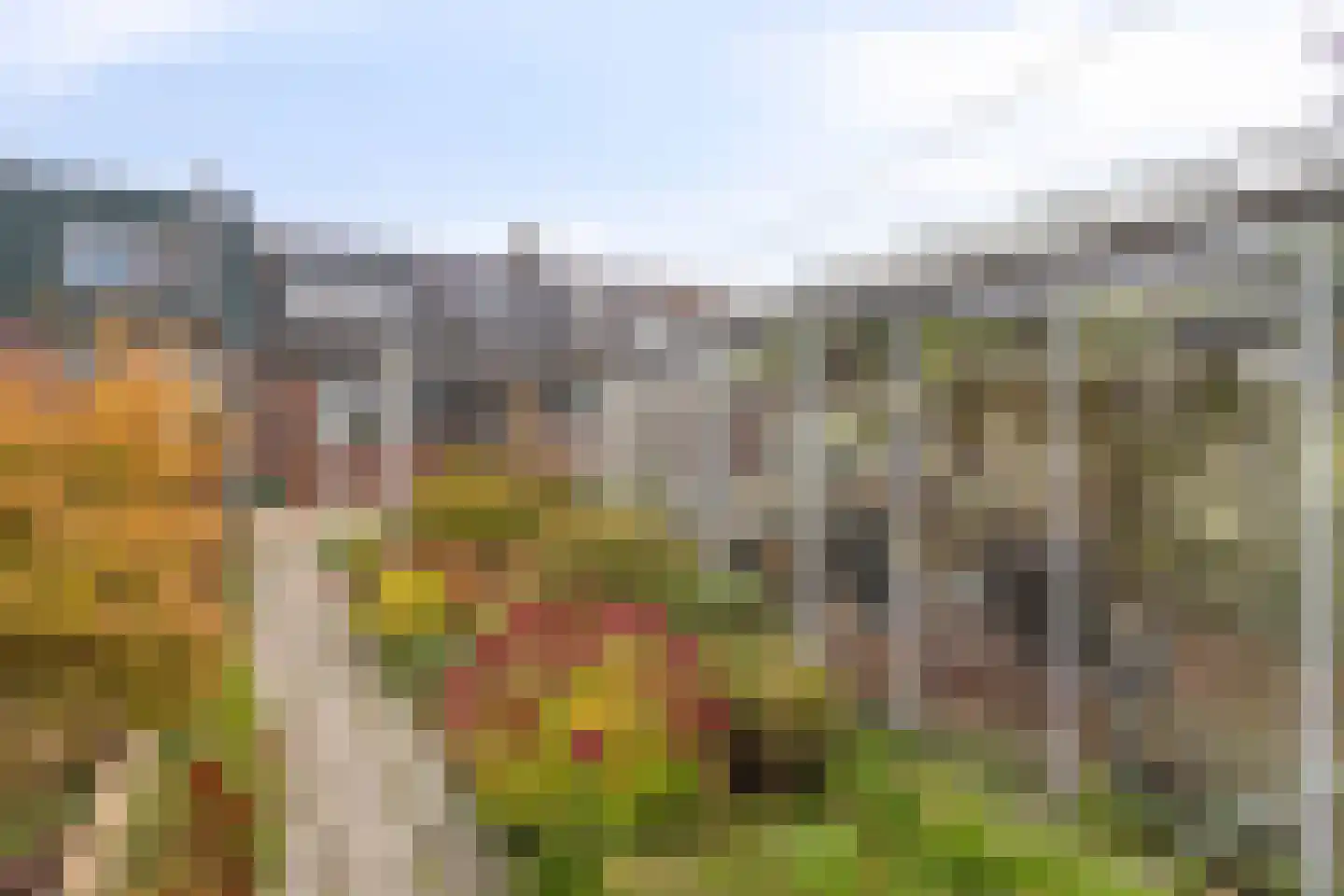 Noordweg 37 Sint Philipsland thumbnail 27