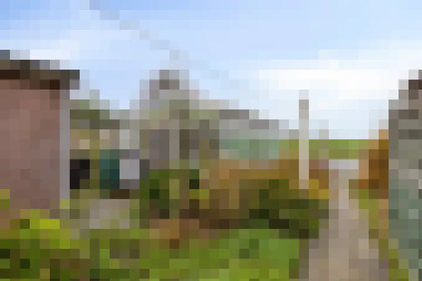 Noordweg 37 Sint Philipsland thumbnail 28