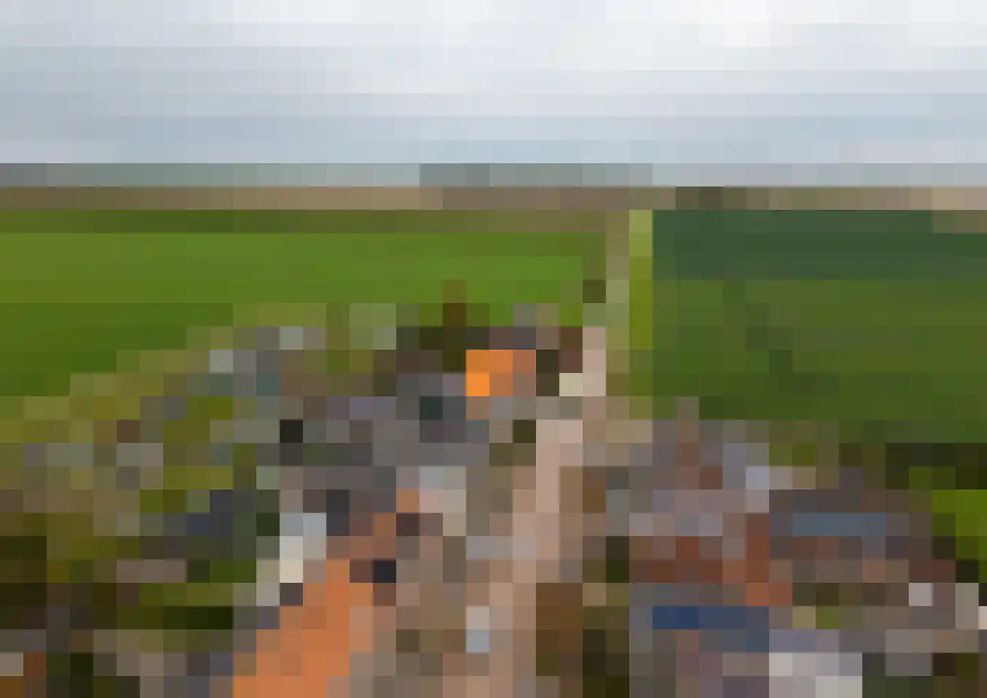 Noordweg 37 Sint Philipsland thumbnail 32