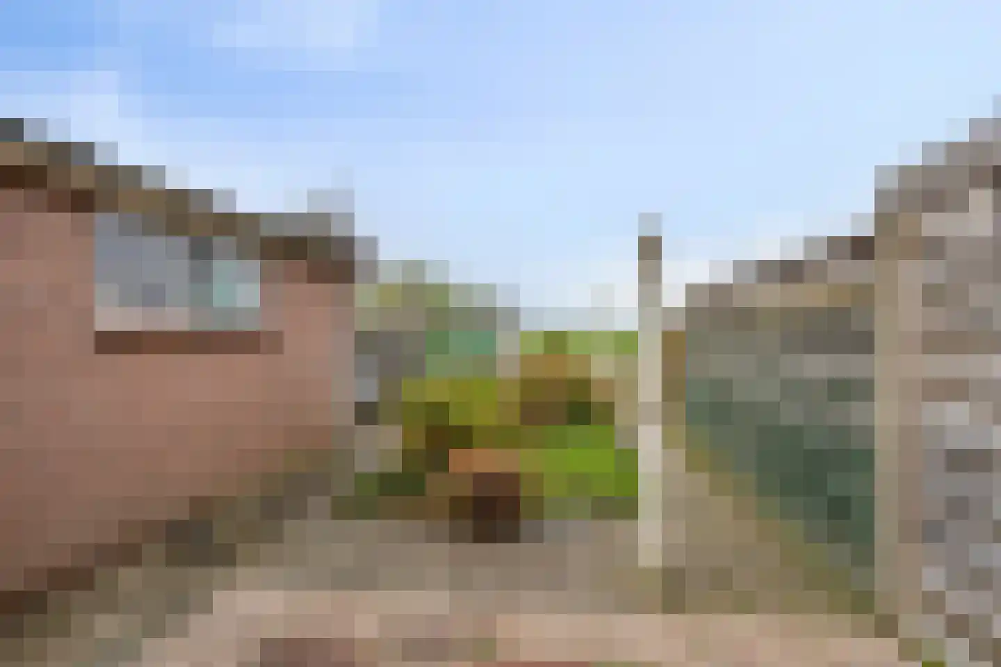 Noordweg 37 Sint Philipsland thumbnail 5