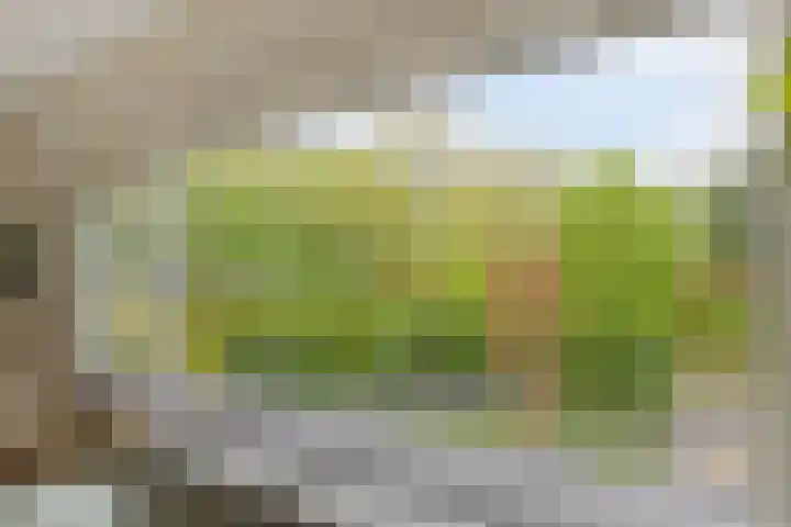 Noordweg 38 Pijnacker thumbnail 14
