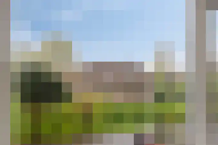 Noordweg 38 Pijnacker thumbnail 15