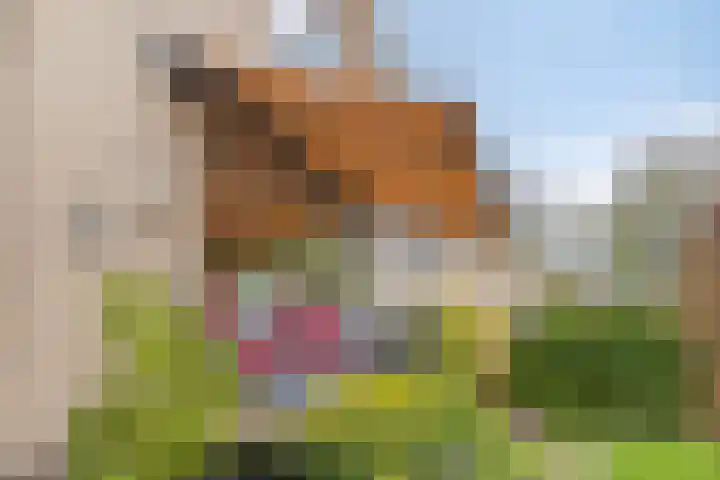 Noordweg 38 Pijnacker thumbnail 8