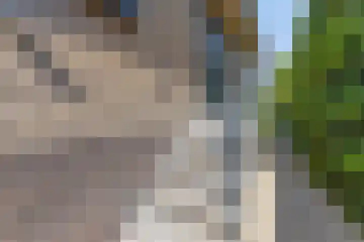 Noordweg 38 Pijnacker thumbnail 9