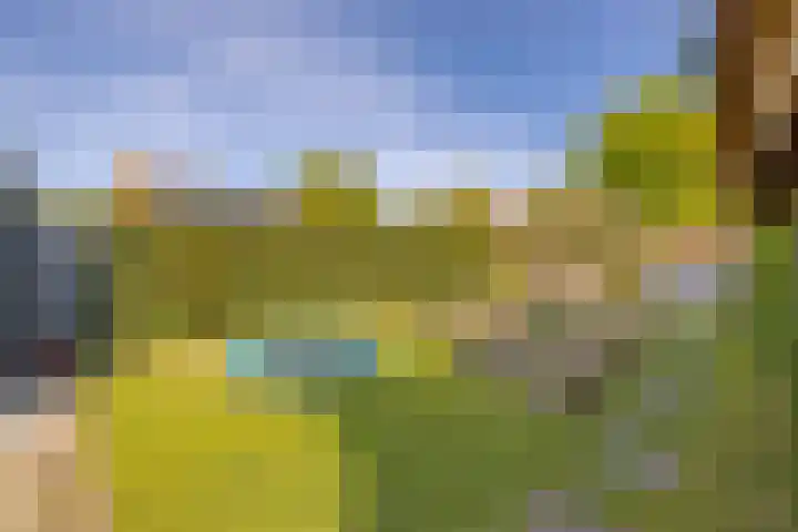 Noordweg 386 Middelburg thumbnail 24