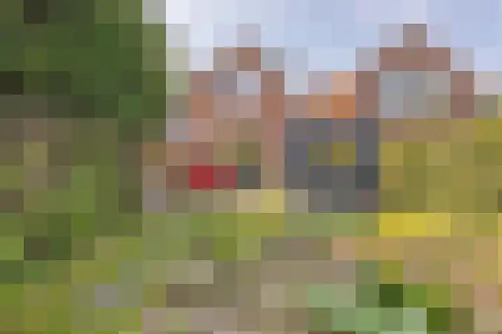Noordweg 386 Middelburg thumbnail 28