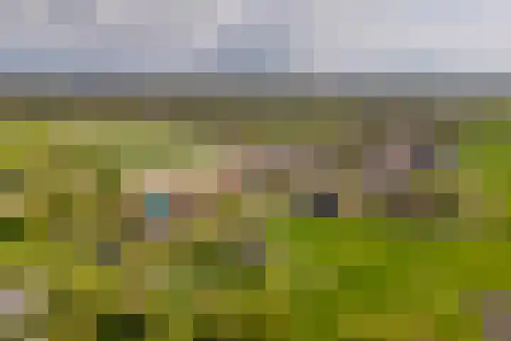 Noordweg 386 Middelburg thumbnail 4