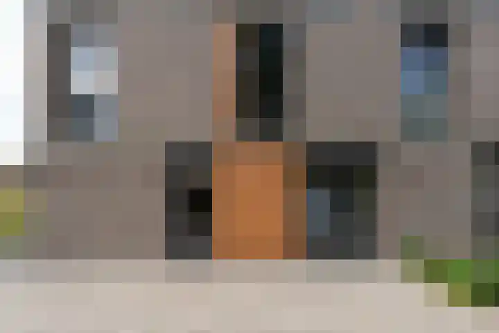 Noordweg 55 Zeist thumbnail 4