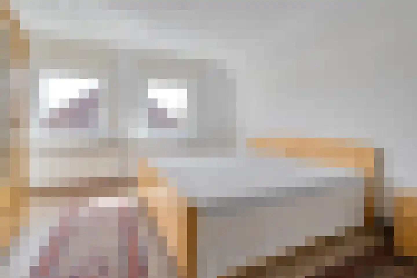 Noordweg 6 Lattrop-Breklenkamp thumbnail 12