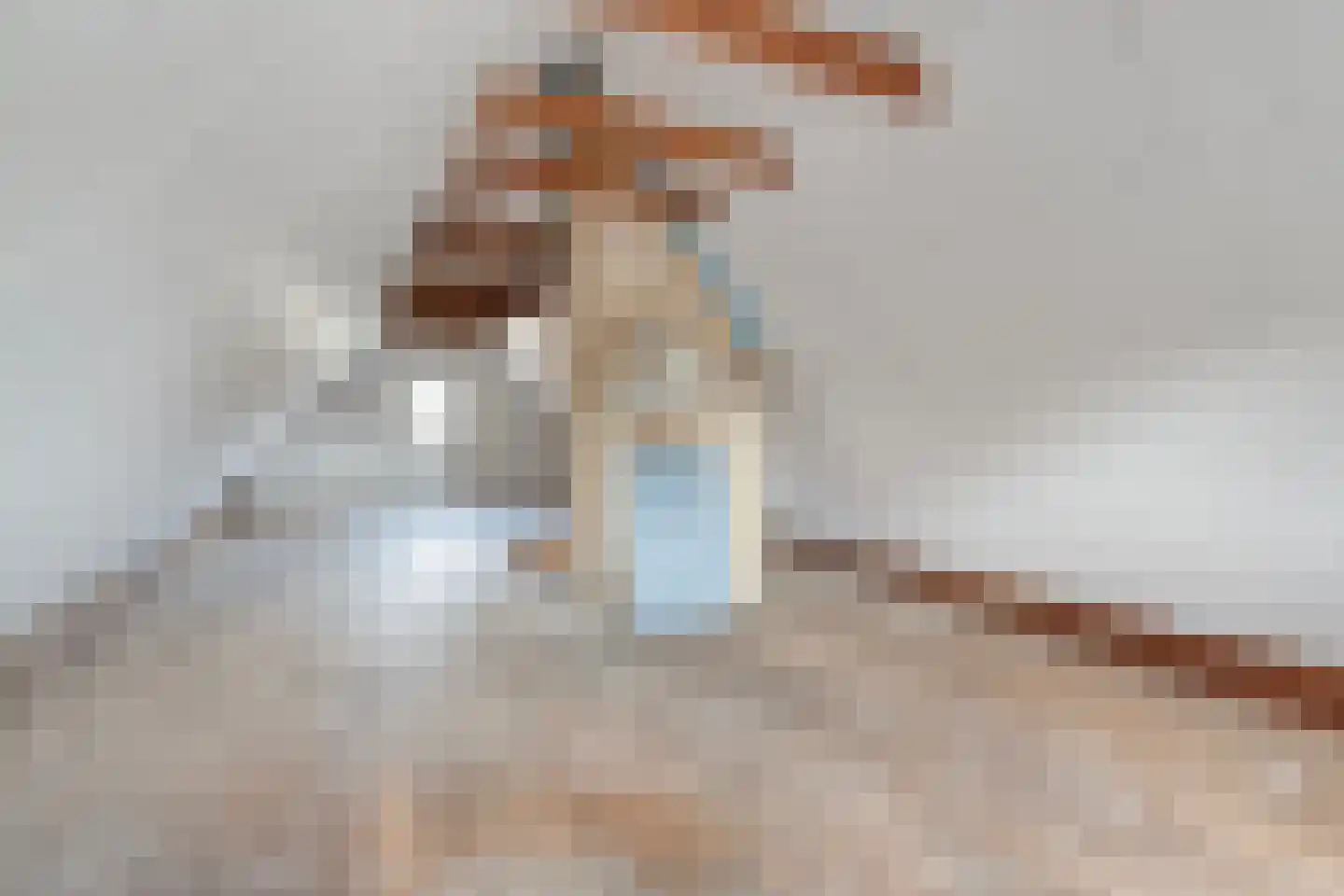 Noordweg 6 Lattrop-Breklenkamp thumbnail 18