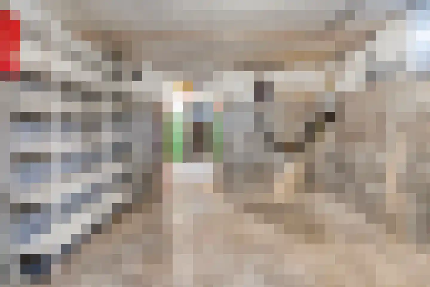 Noordweg 6 Lattrop-Breklenkamp thumbnail 20