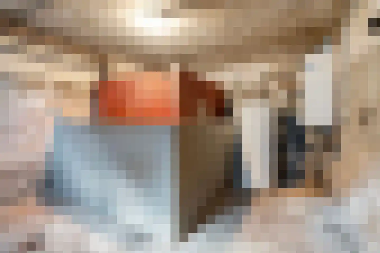 Noordweg 6 Lattrop-Breklenkamp thumbnail 21