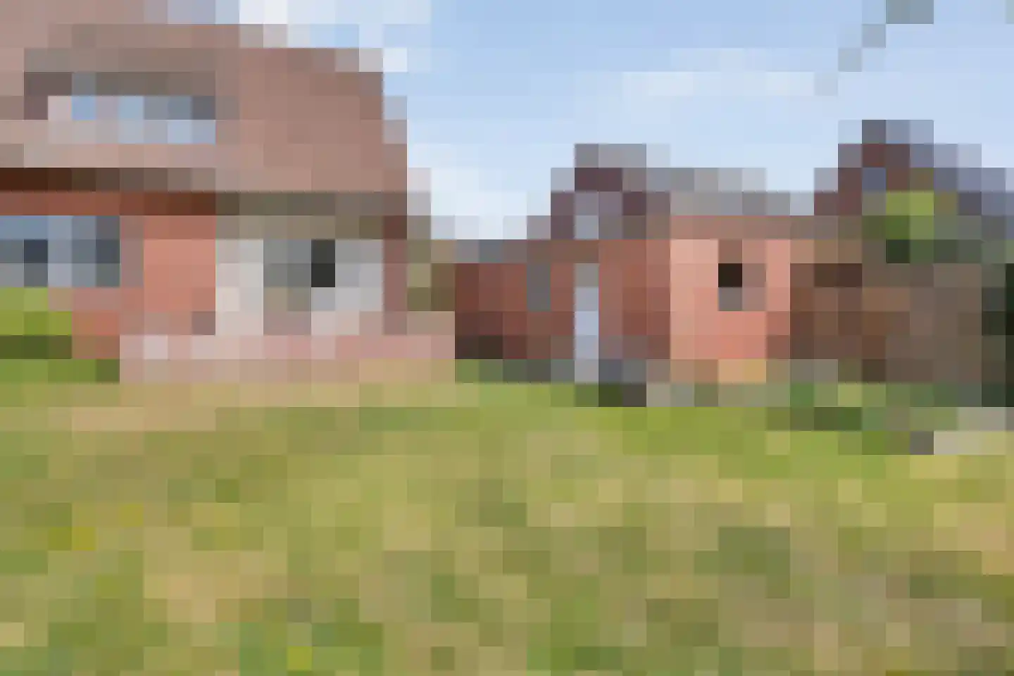 Noordweg 6 Lattrop-Breklenkamp thumbnail 22
