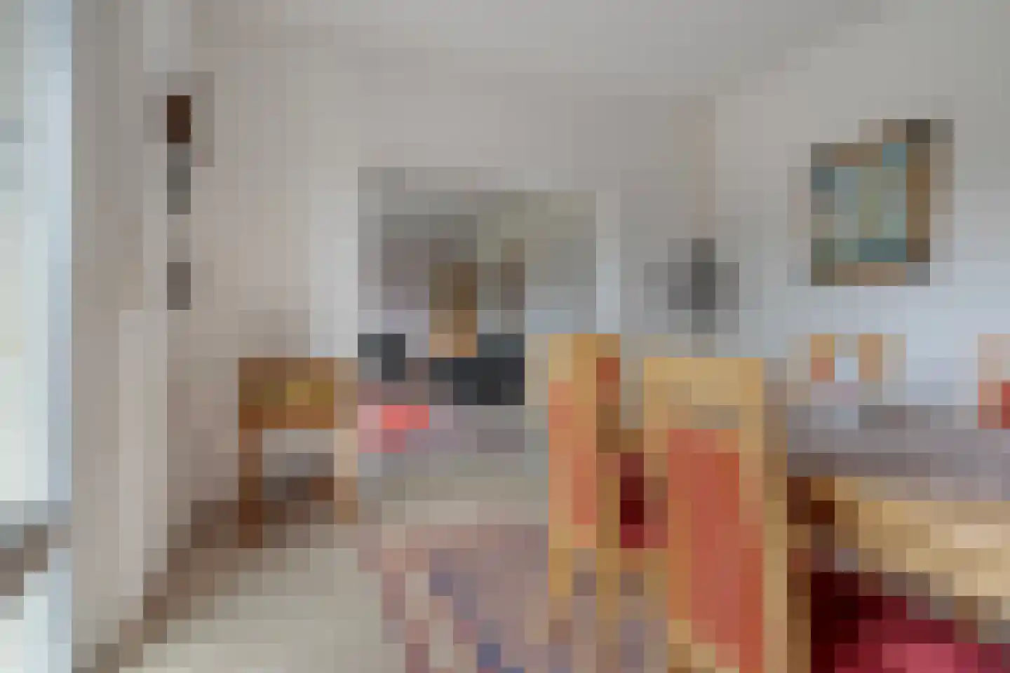 Noordweg 6 Lattrop-Breklenkamp thumbnail 6