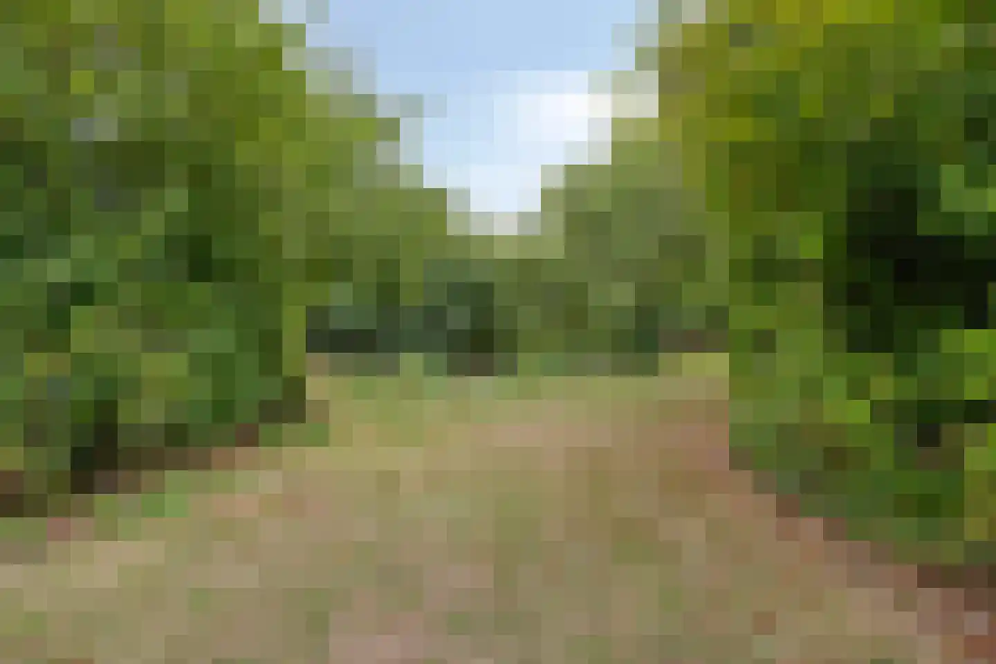 Noordweg 62 Oostkapelle thumbnail 40
