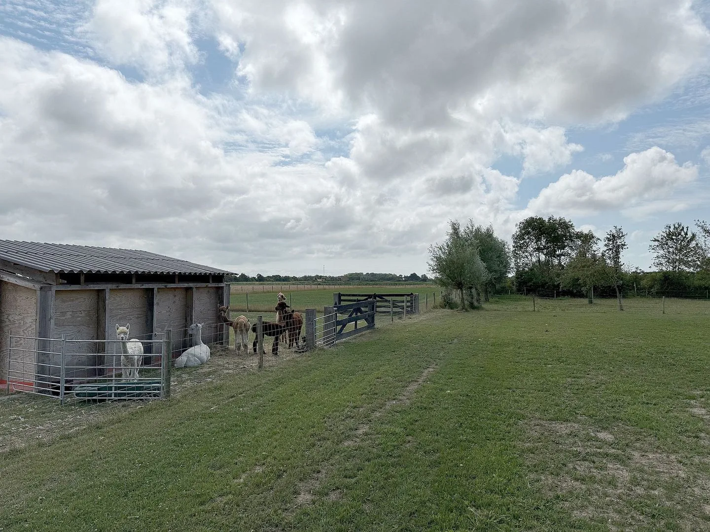 Noordweg 62 Oostkapelle thumbnail 81