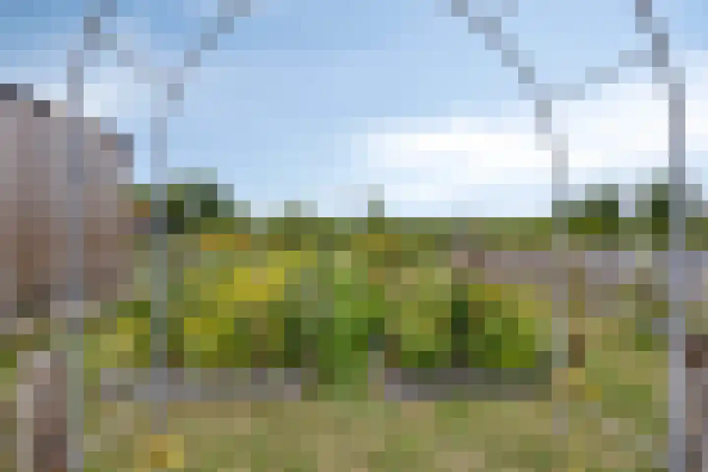 Noordweg 62 Oostkapelle thumbnail 86