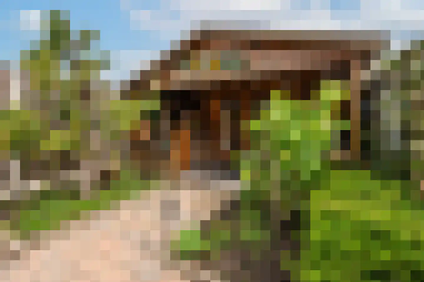 Noordweg 65 Serooskerke thumbnail 31