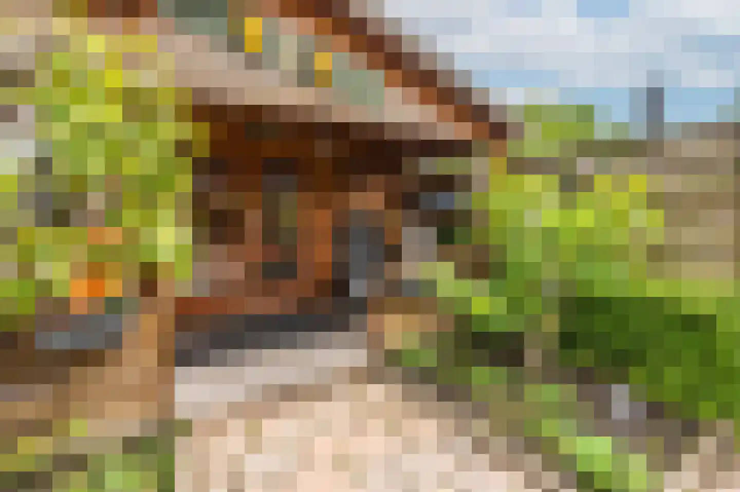 Noordweg 65 Serooskerke thumbnail 32