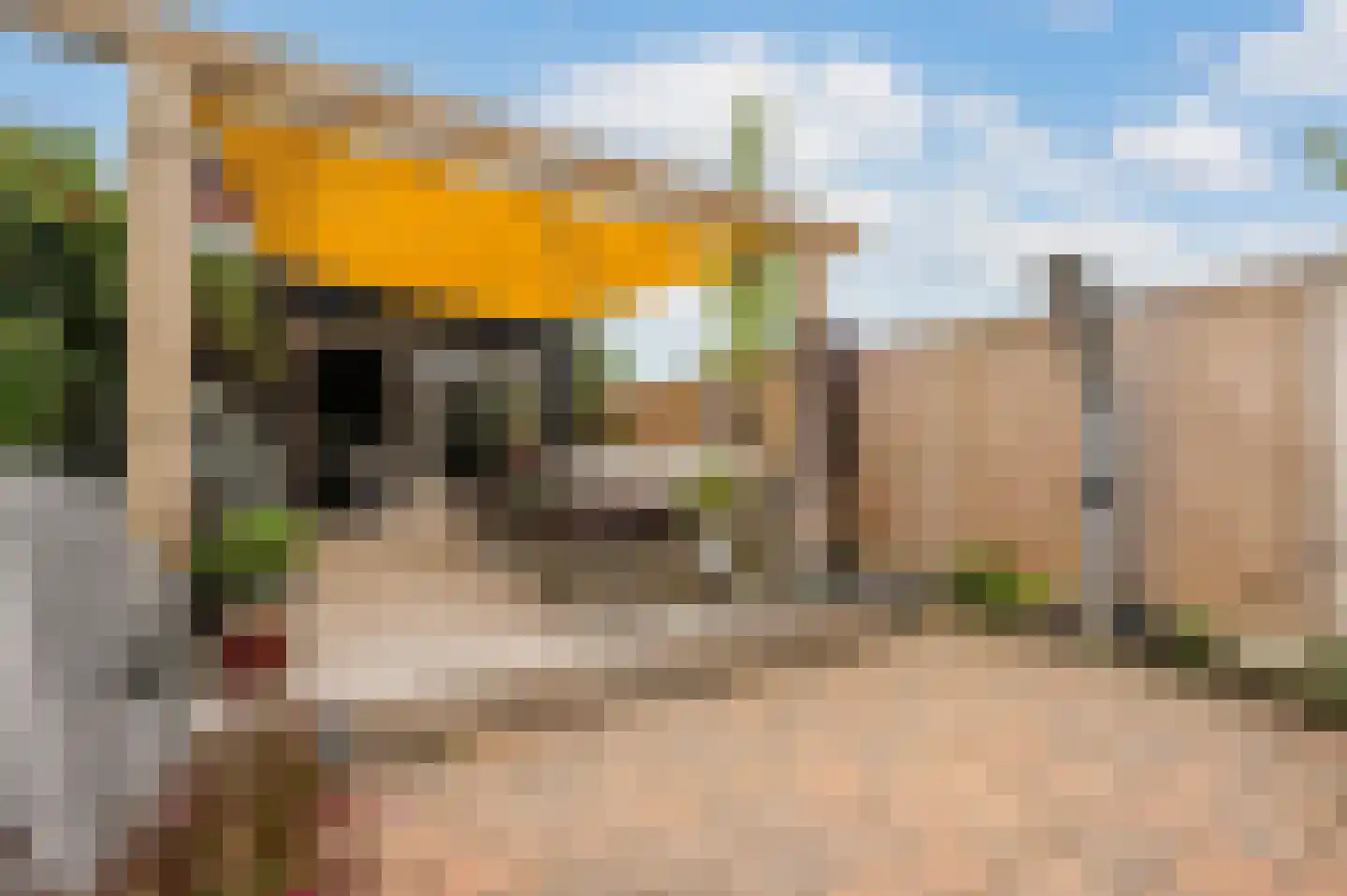 Noordweg 65 Serooskerke thumbnail 36